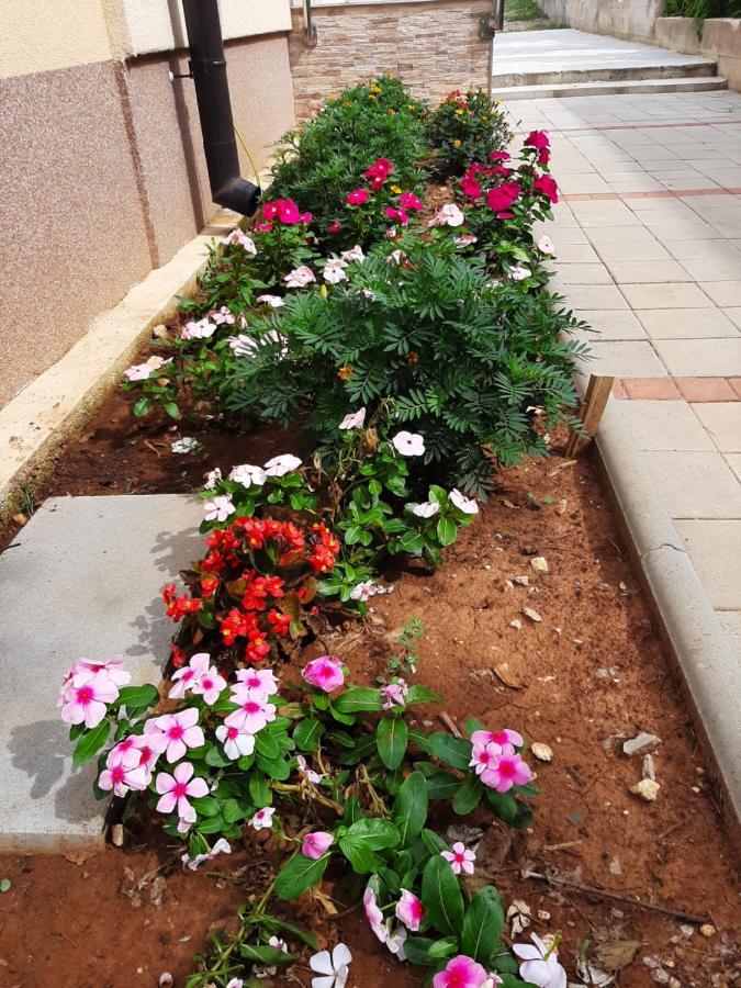 Apartmani Lea Starigrad Paklenica Dış mekan fotoğraf